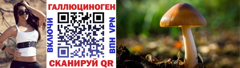 Галлюциногенные грибы мухоморы  Тогучин 